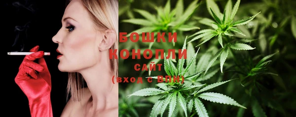 гашик Верея