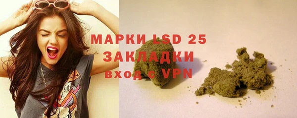 гашик Верея