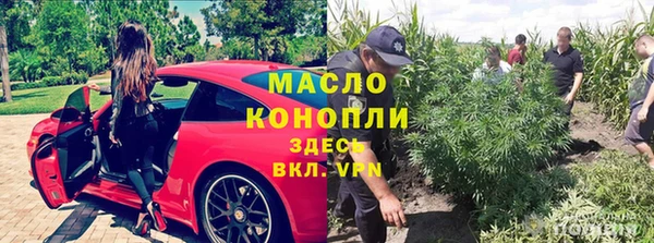 гашик Верея