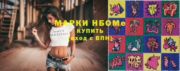 гашик Верея