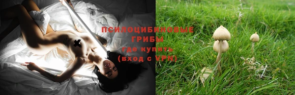 гашик Верея