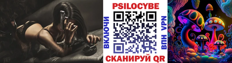 Галлюциногенные грибы Psilocybe  Гатчина 